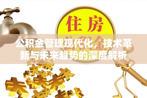 玛多公积金管理现代化，技术革新与未来趋势的深度解析