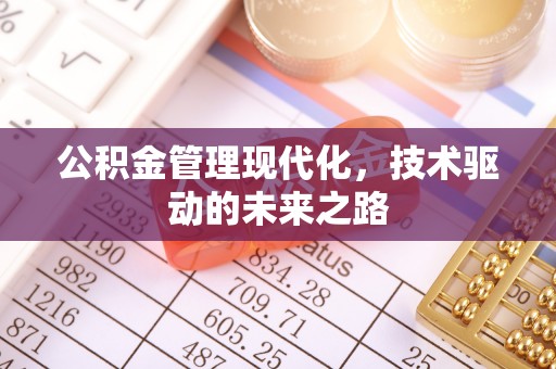 玛多公积金管理现代化，技术驱动的未来之路